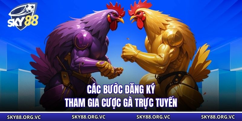 Các bước đăng ký tham gia cược gà trực tuyến