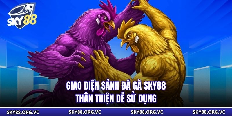 Giao diện sảnh đá gà Sky88 thân thiện dễ sử dụng