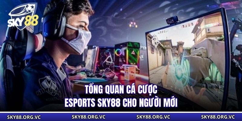 Tổng quan cá cược Esports Sky88 cho người mới