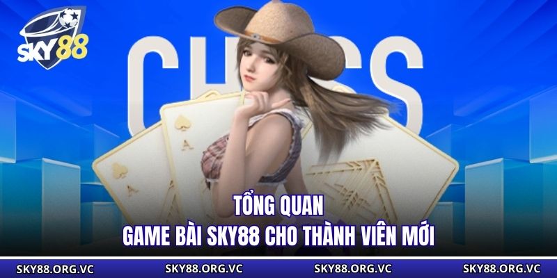 Tổng quan game bài Sky88 cho thành viên mới